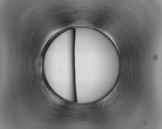 X0000096701123200802261558