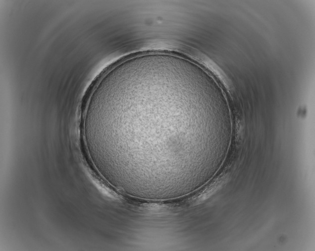 X0000096701124200802261558