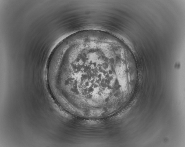 X0000096701125200802261558
