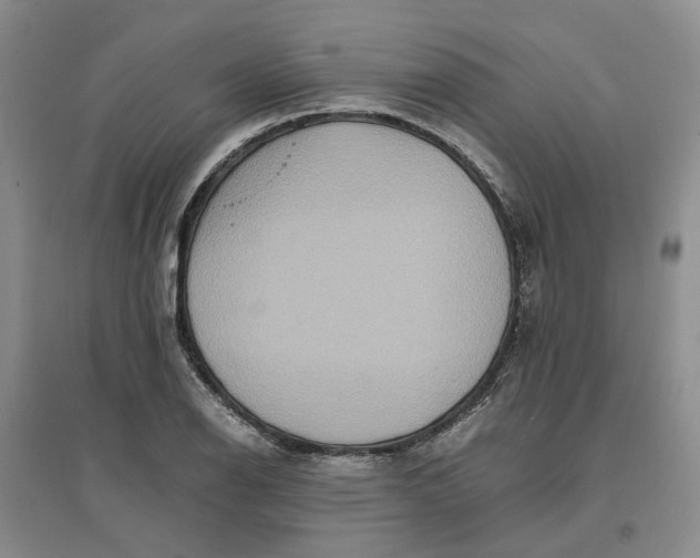 X0000096701126200802261558