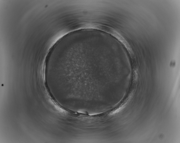 X0000096701127200802261558