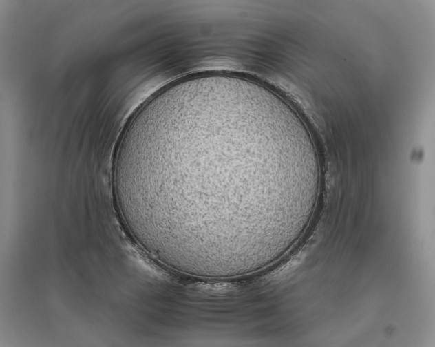 X0000096701129200802261558