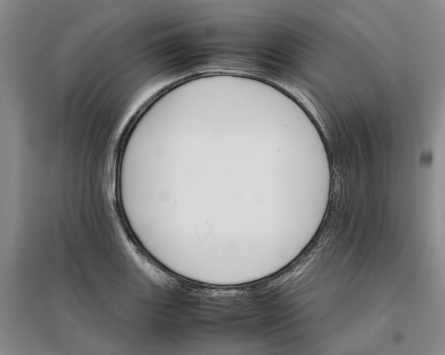 X0000096701131200802261558