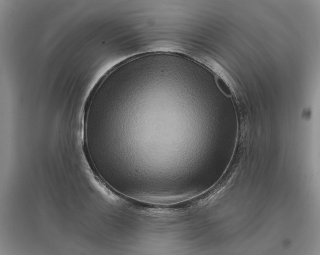 X0000096701132200802261558