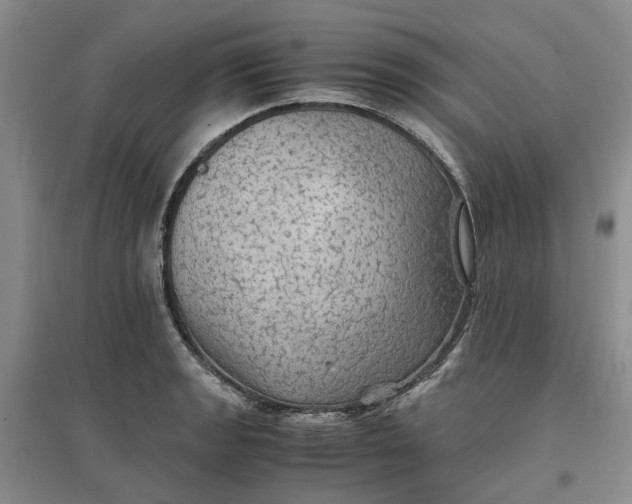 X0000096701133200802261558