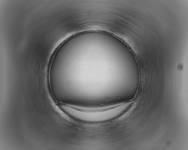X0000096701134200802261559