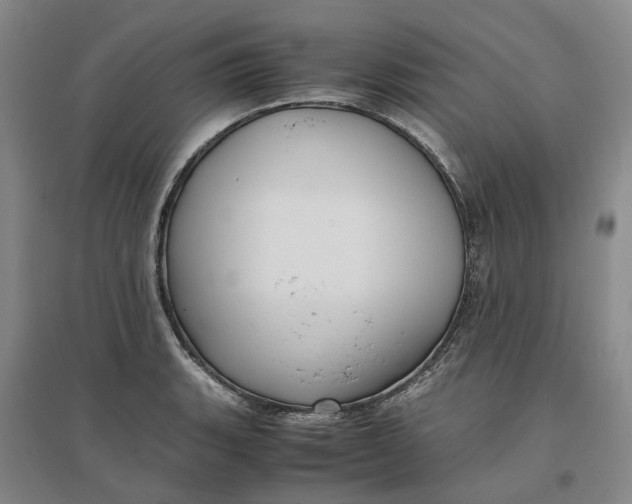 X0000096701135200802261559