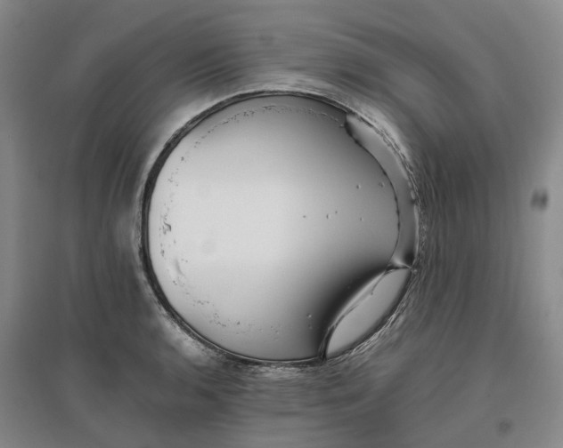 X0000096701136200802261559