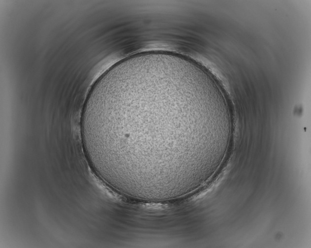 X0000096701137200802261559
