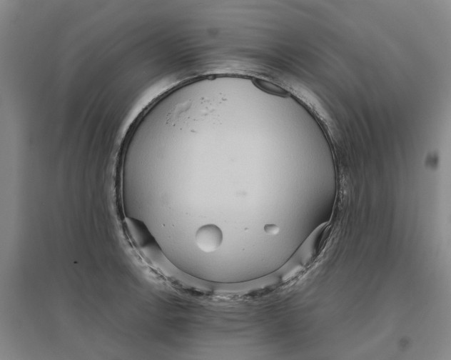 X0000096701138200802261559