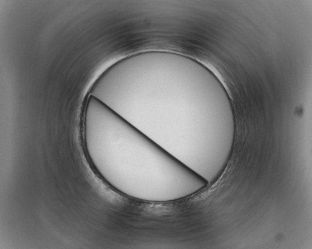 X0000096701139200802261559