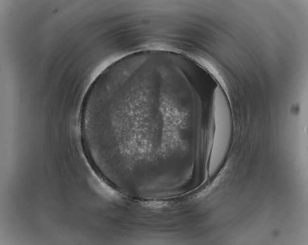 X0000096701141200802261559