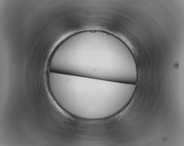 X0000096701142200802261559