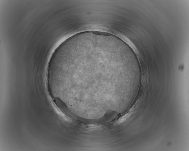 X0000096701144200802261559