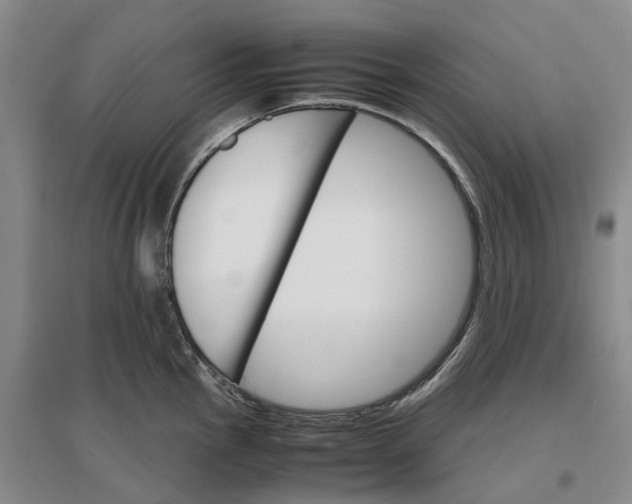 X0000096701145200802261559
