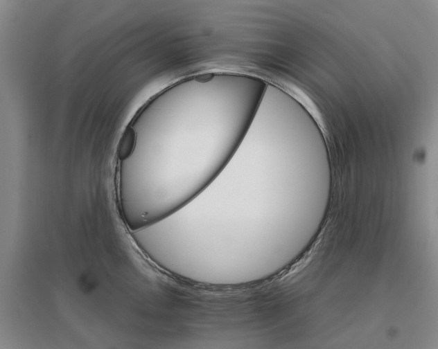 X0000096701146200802261559