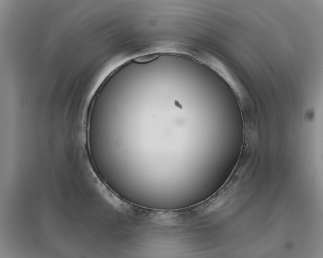 X0000096701148200802261559