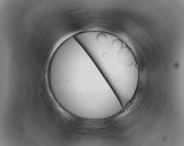 X0000096701149200802261559