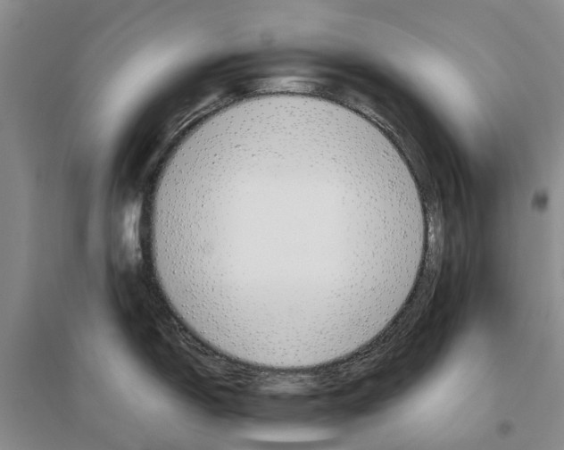 X0000096701150200802261559