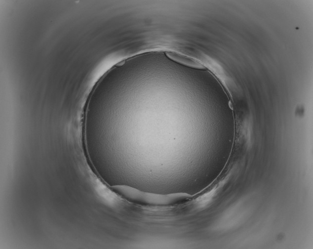 X0000096701151200802261559