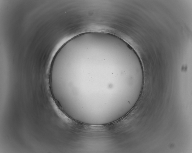 X0000096701152200802261559
