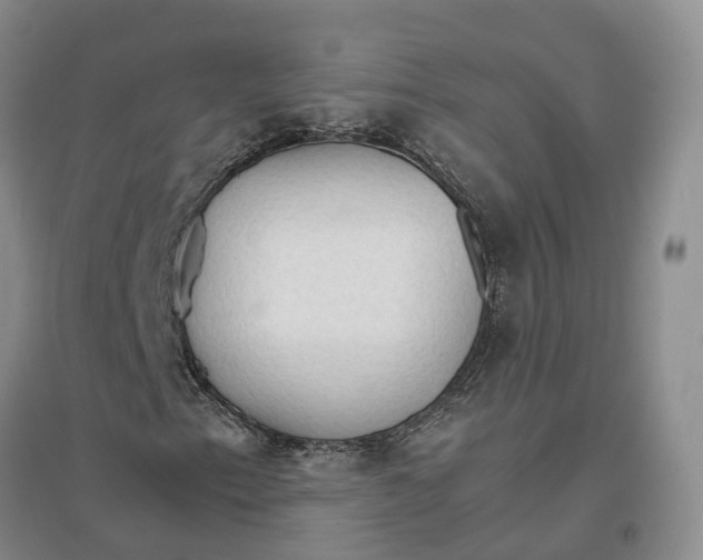 X0000096701153200802261558