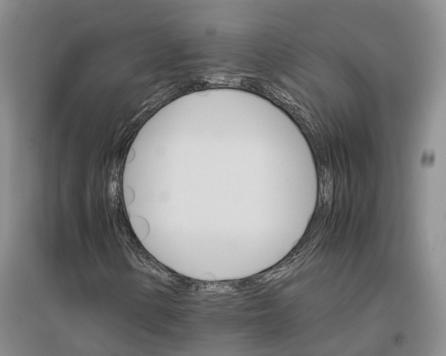 X0000096701154200802261558