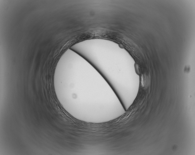 X0000096701155200802261558