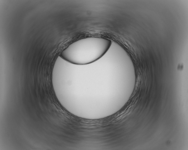 X0000096701156200802261558