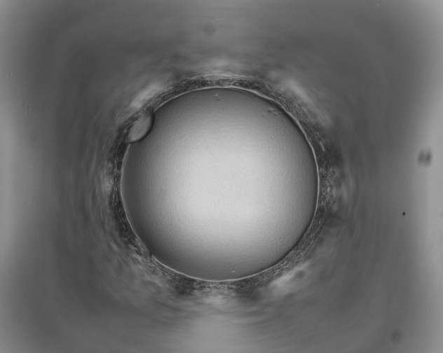 X0000096701157200802261558