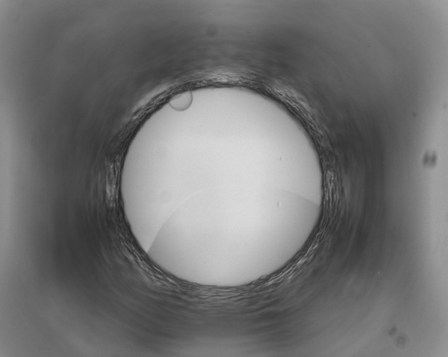 X0000096701158200802261558