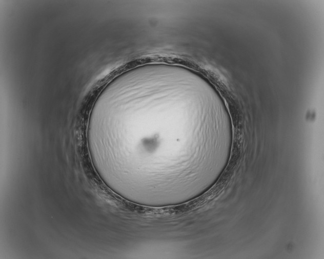X0000096701159200802261558