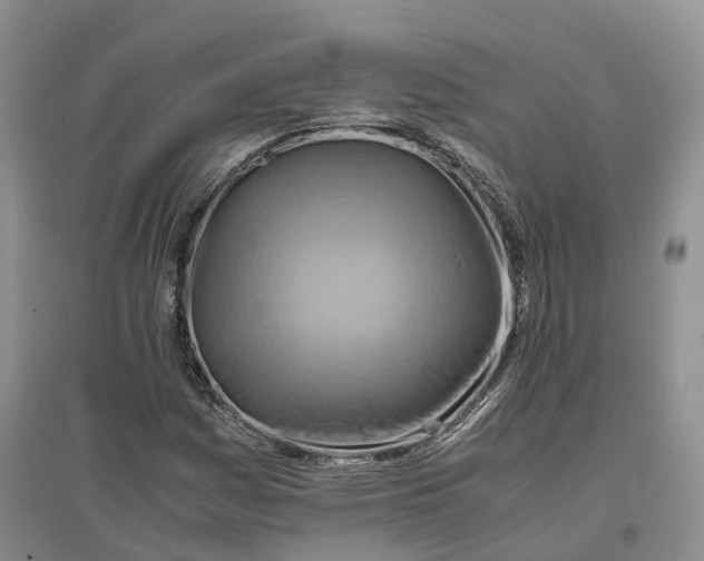 X0000096701161200802261558