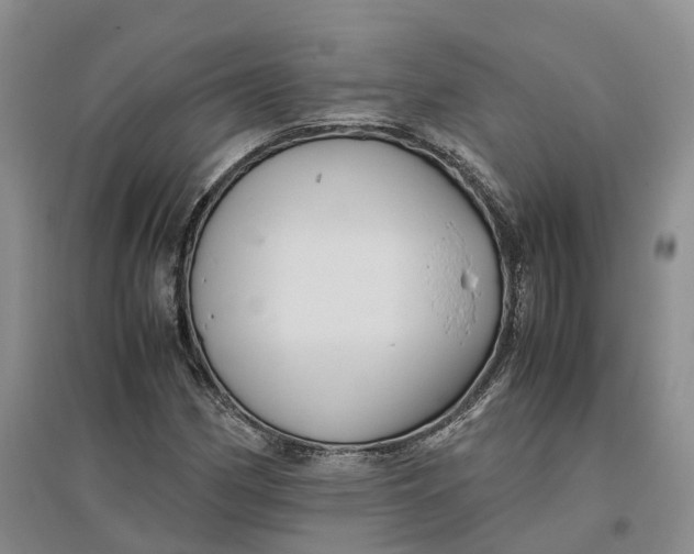 X0000096701162200802261558
