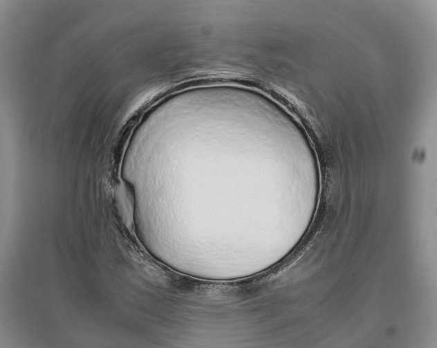 X0000096701163200802261558