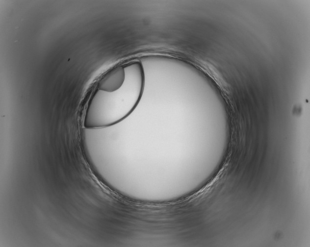 X0000096701164200802261558