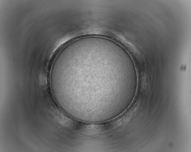 X0000096701166200802261558