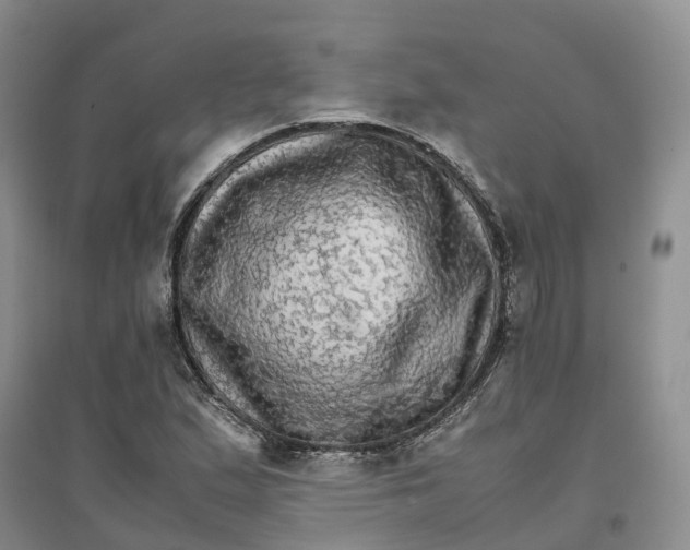 X0000096701167200802261558