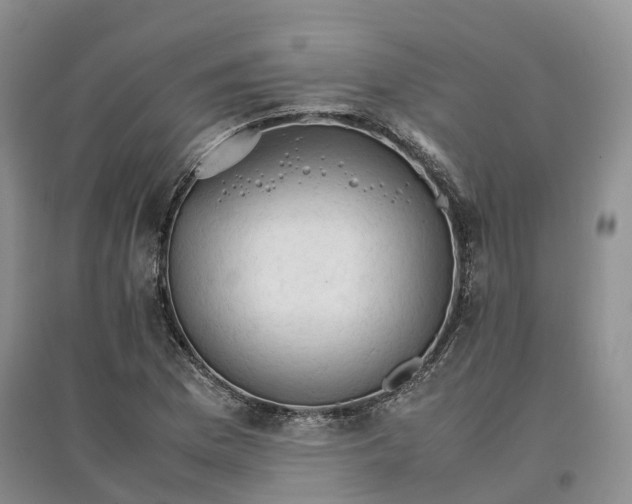X0000096701169200802261558