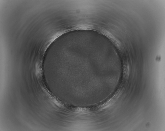 X0000096701170200802261557