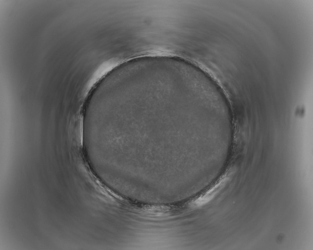 X0000096701171200802261557