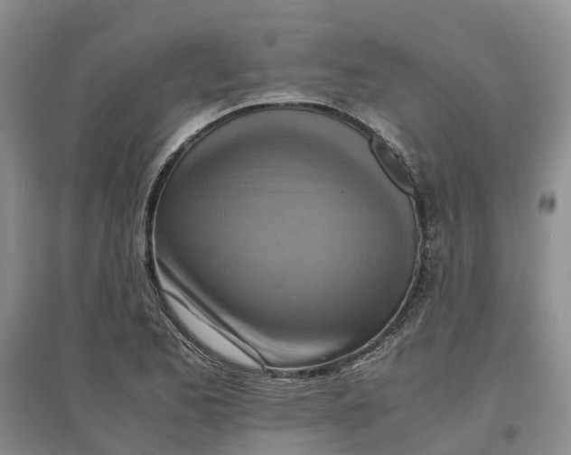 X0000096701173200802261557