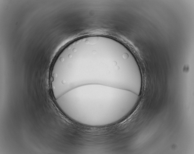 X0000096701174200802261557