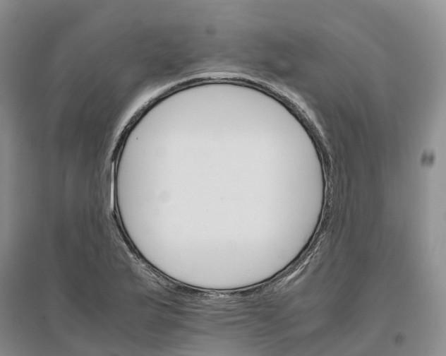 X0000096701175200802261557