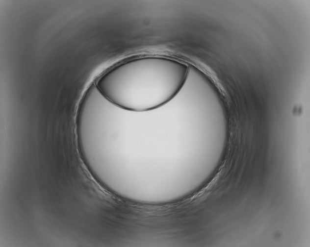 X0000096701176200802261557