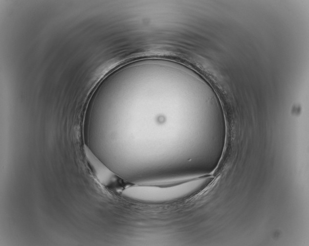 X0000096701177200802261557