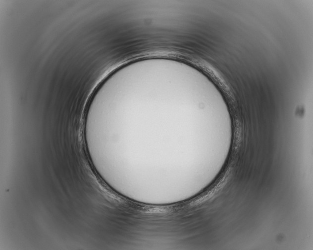 X0000096701178200802261557