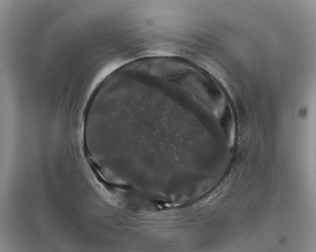 X0000096701179200802261557