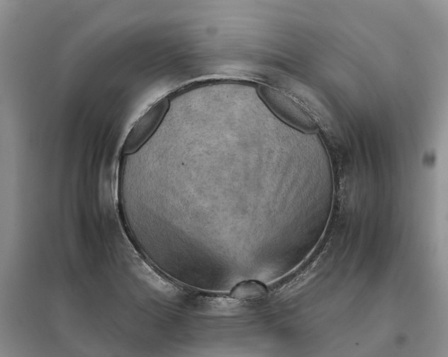 X0000096701180200802261557