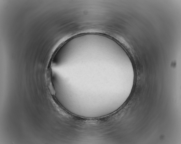 X0000096701181200802261557